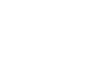 fringebeverlyhills.com_logo